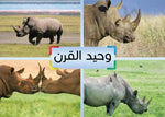 Load image into Gallery viewer, Geno Cards - Animals - كوتشينة (كروت) جينو - حيوانات
