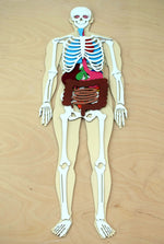 Load image into Gallery viewer, Human Body 63cm (skeleton and organs), Anatomy board, Human body Montessori science play set. - جسم الإنسان كامل 63 سم