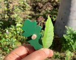 Load image into Gallery viewer, Wooden Botany Leaf Puzzle - natural wood - non-toxic - handmade