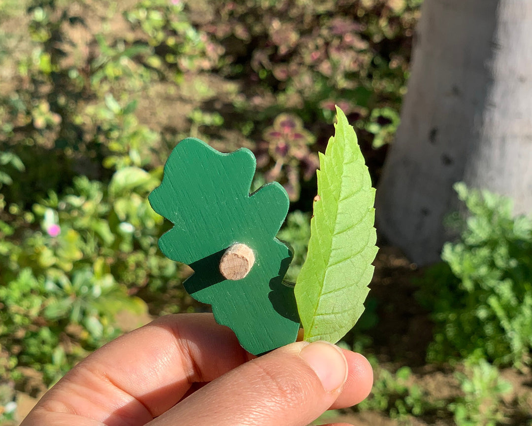 Wooden Botany Leaf Puzzle - natural wood - non-toxic - handmade