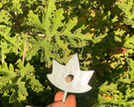 Load image into Gallery viewer, Wooden Botany Leaf Puzzle - natural wood - non-toxic - handmade  -  بازل ورق الشجر انجليزي

