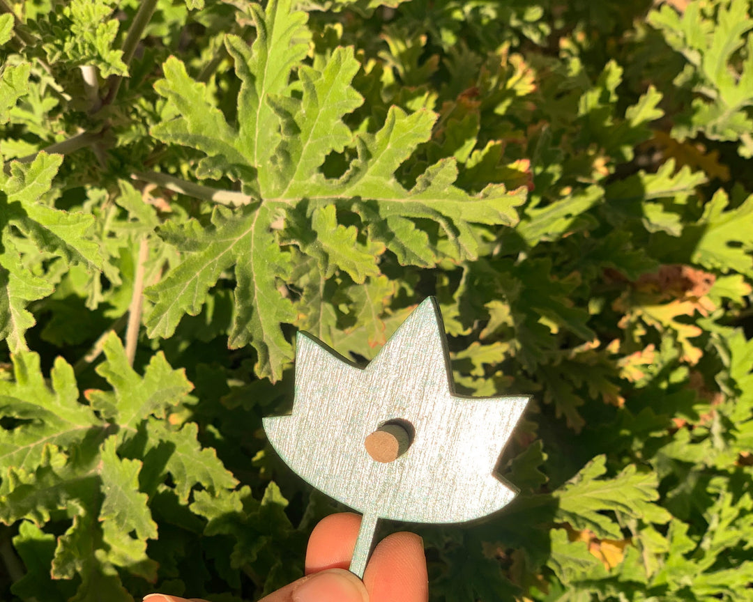 Wooden Botany Leaf Puzzle - natural wood - non-toxic - handmade  -  بازل ورق الشجر انجليزي