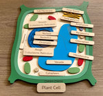 Load image into Gallery viewer, Plant cell model, wooden cell puzzle - natural wood - non-toxic - handmade.