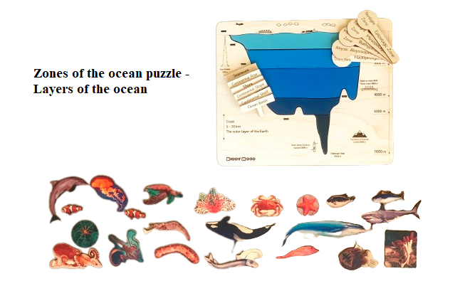 Zones of the ocean puzzle - Layers of the ocean  طبقات المحيط مع الملحقات - انجليزي