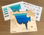 Load image into Gallery viewer, Zones of the ocean puzzle - Layers of the ocean  طبقات المحيط مع الملحقات - انجليزي
