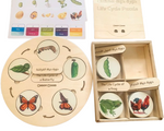 Load image into Gallery viewer, Life Cycle puzzle Board with wooden box - natural wood - non-toxic - handmade