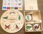 Load image into Gallery viewer, Life Cycle puzzle Board with wooden box - natural wood - non-toxic - handmade
