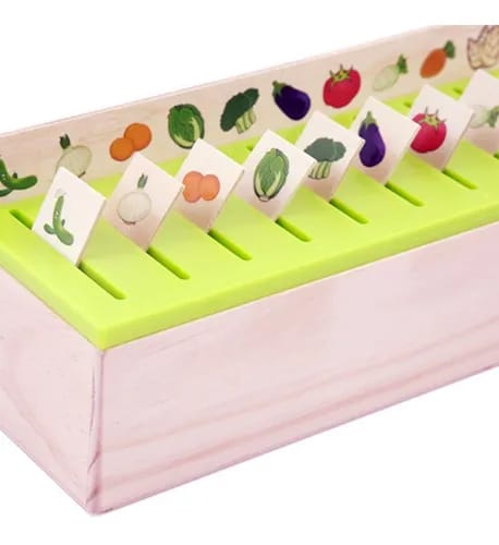 Classification and sorting Box