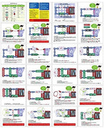 Load image into Gallery viewer, Experiments on Electrical Circuits NO.300 Hand Crank Generator -  تجارب الدوائر الكهربائية رقم 300 مولد يدوي
