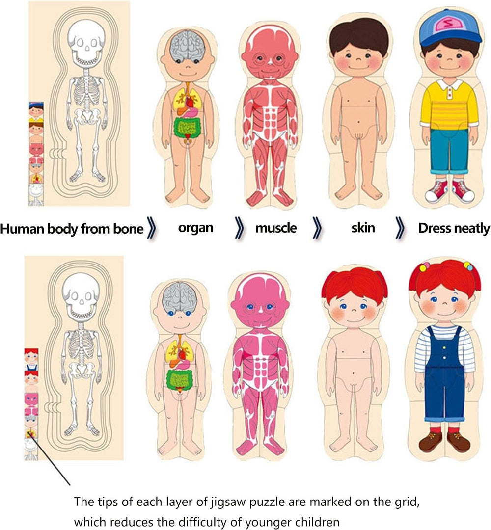 Human body wooden matching puzzle - girl