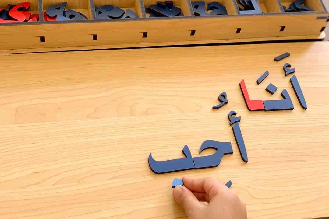 صندوق الحروف - عربي خمس تكرارات - Moveable Alphabet 5 complete sets - Montessori 5 sets of letters - non-toxic - handmade