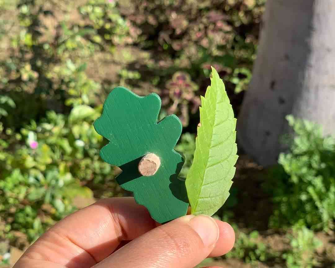 Wooden Botany Leaf Puzzle- Arabic Language - natural wood - non-toxic - handmade - بازل أوراق الشجر - عربي - خشب طبيعي