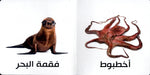 Load image into Gallery viewer, My First Book - Marine creatures - Arabic Language - كتب كلماتي الاولى - المعارف الأولى - الكائنات البحرية
